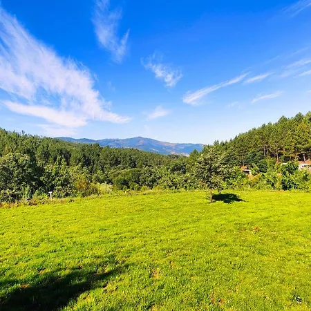 Casa Florestal - Pure Nature Cabins Fatela Exterior photo