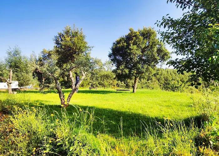Casa Florestal - Pure Nature Cabins