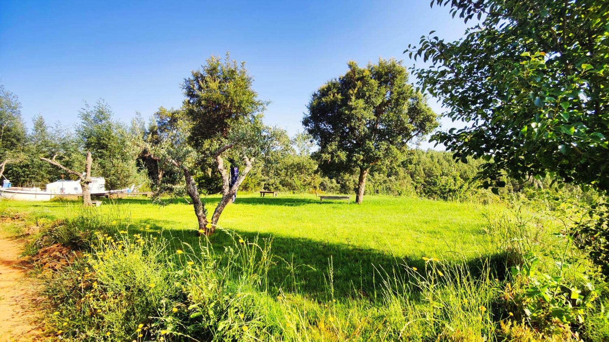 Casa Florestal - Pure Nature *